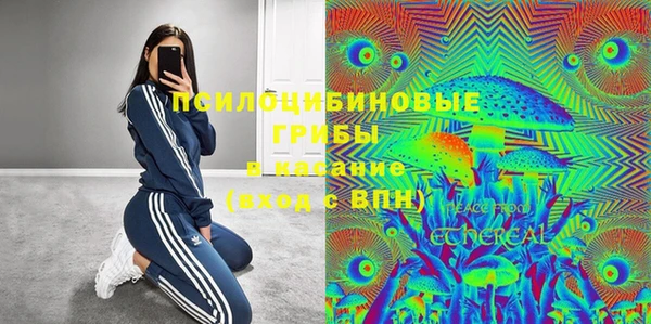прущая мука Краснослободск